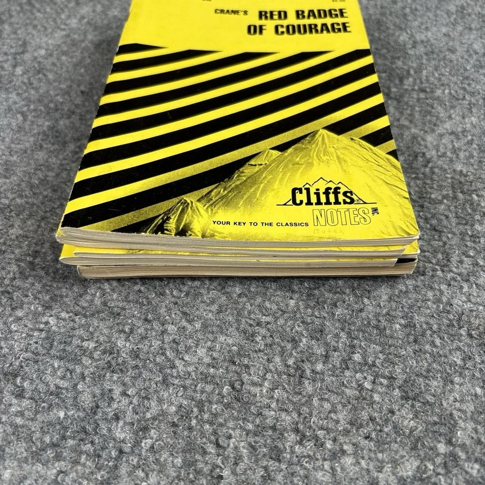 Lot Of 6 Cliffs Notes Coles Notes Catch-22‎ Scarlet Letter Red Badge Vintage